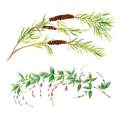 two watercolor branches. Elegant decorative design element for wedding, invitation, frame for text, caption, head