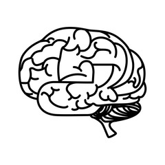 brain mind head intellectual think human organ mental vector  illustration isolated