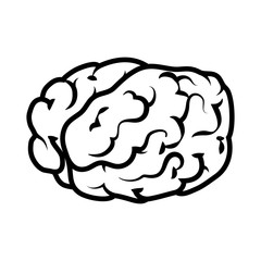 brain mind head intellectual think human organ mental vector  illustration isolated
