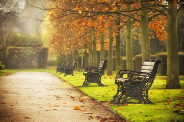 Benches in autumn park - obrazy, fototapety, plakaty