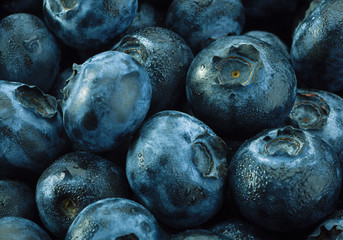 Blueberry detail background