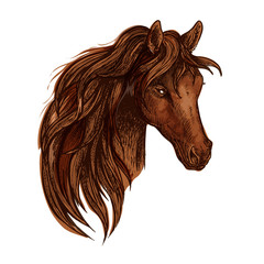 Obraz na płótnie Canvas Brown horse portrait with wavy mane