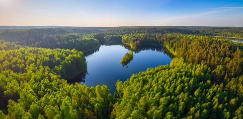 Forest lake (aerial photo)