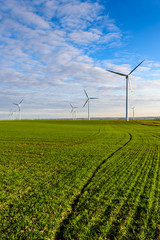 Fototapeta na wymiar Windmills for electric power production surrounded by agricultural fields in Polish country side. Pomerania, Poland.