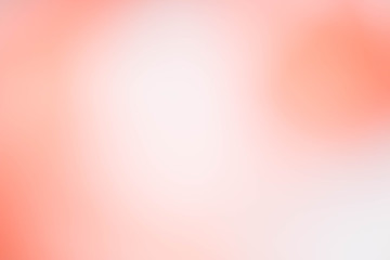 color rose background blur