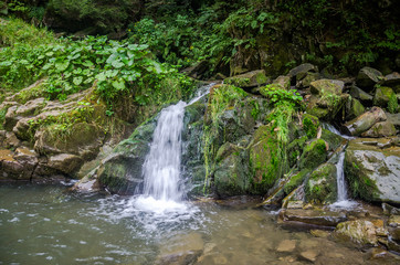Fototapeta premium Mountain river with waterfall and rocks at national park in the Skole Beskids near Lviv