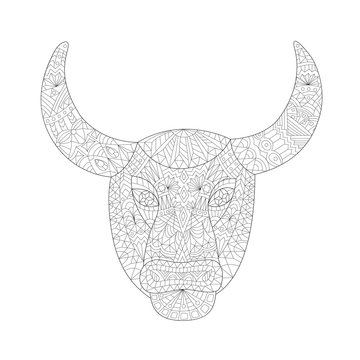Taurus - Coloring for Adults