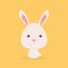 Cute Cartoon Wild rabbit