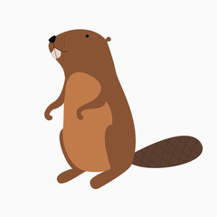 Illustration of a beaver © Nadzin