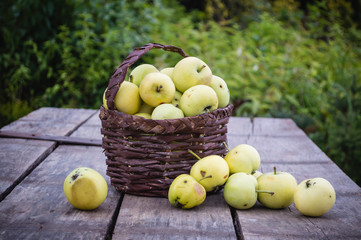 apples in a homemade basket