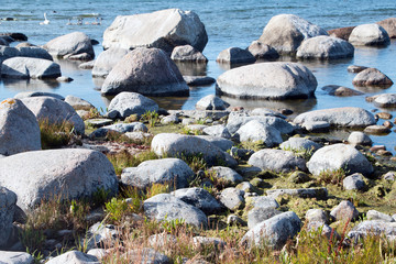 Obraz premium Steinstrand auf Nord-Öland Schweden