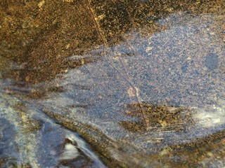Clear smooth pure water stream flows on flat nature slap rock