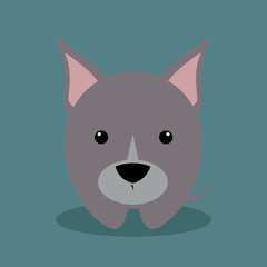 Cute Cartoon dog