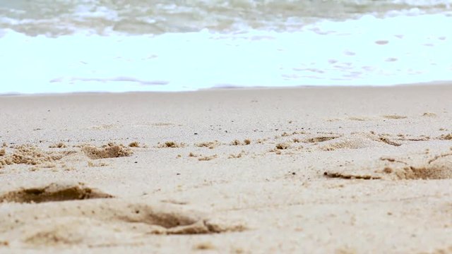 Widok na stopy ludzi idących brzegiem plaży nad morzem w ciepły dzień, chodzenie po plaży boso blisko brzegu
