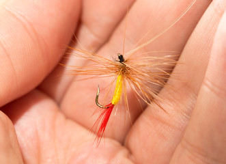 fly to catch fish in his hand. macro