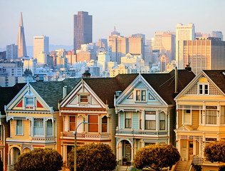 Painted Ladies