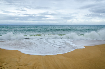 Cloudy Beach and Wave