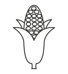 corn vegetable isolated icon