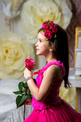 little girl beautiful dress with roses