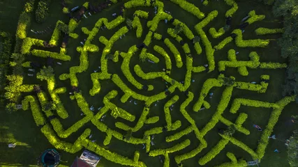 Türaufkleber Natur Green maze