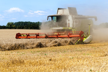 Fototapeta na wymiar combine harvester working with dust on the field 