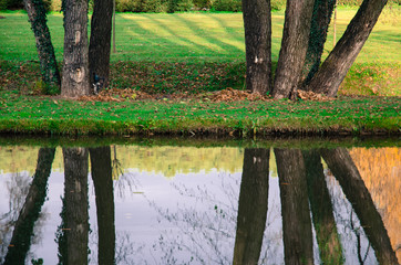 reflection of trees