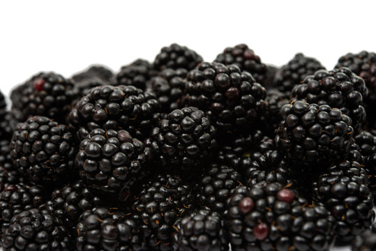 blackberries