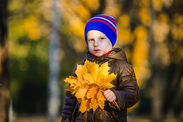 Active little kid boy walking in a park on sunny autumn day.