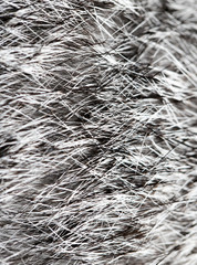 Gray rabbit fur as background