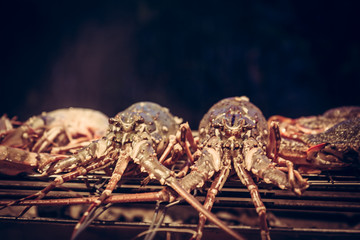 Lobster cooking on grill barbecue. Front view with dark edges and copy space above seafood