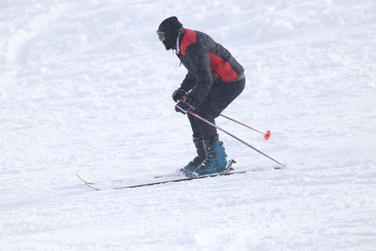 people skiing in the snow