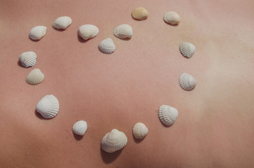 cockleshells lie on the girl's body