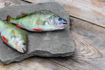 Two freshly cathing perch(bass) laying on the stone plate .On ol
