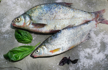 Freshly caught bream and roach.On stone plate decorated with bas