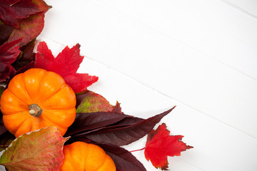 Autumn: Colorful Fall Leaves And Pumpkin Background