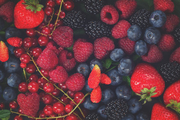 ripe of  fresh berries