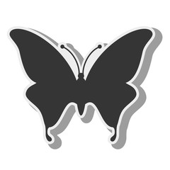 butterfly animal insect animal wings fly spring artistic vector front illustration isolated front