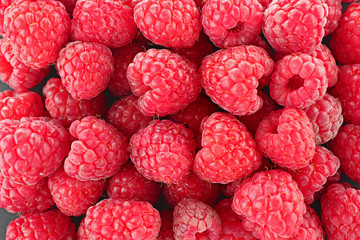 Fresh raspberry, closeup