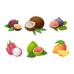 Tropical fruits vector set.