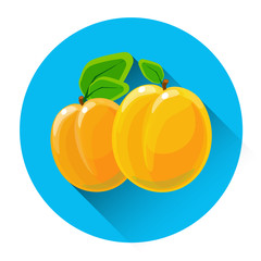 Apricot Colorful Fruit Icon