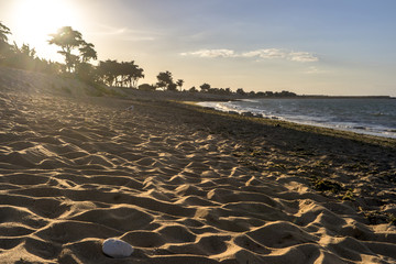 Plage au coucher de soleil. Ile d'Oléron
