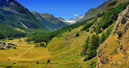 Naklejka premium Big panorama of Alps valley in Val di Rhemes