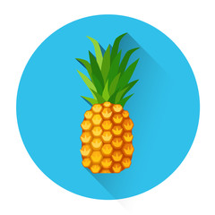 Pineapple Colorful Fruit Icon