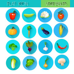 Colorful Collection Vegetable Icon Set