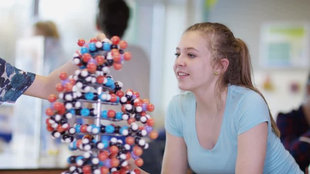  Young students looking at model in school science class