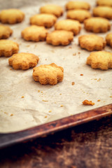 Homemade oatmeal cookies on baking plate