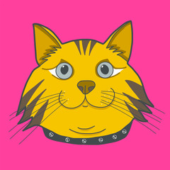 Cute fat brown cat face on pink background illustration