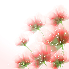 vector background with Flowers