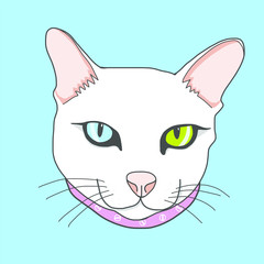 Cute white cat face with two color eyes on blue background illustration