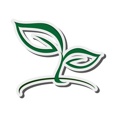 flat design abstract leaves nature icon vector illustration